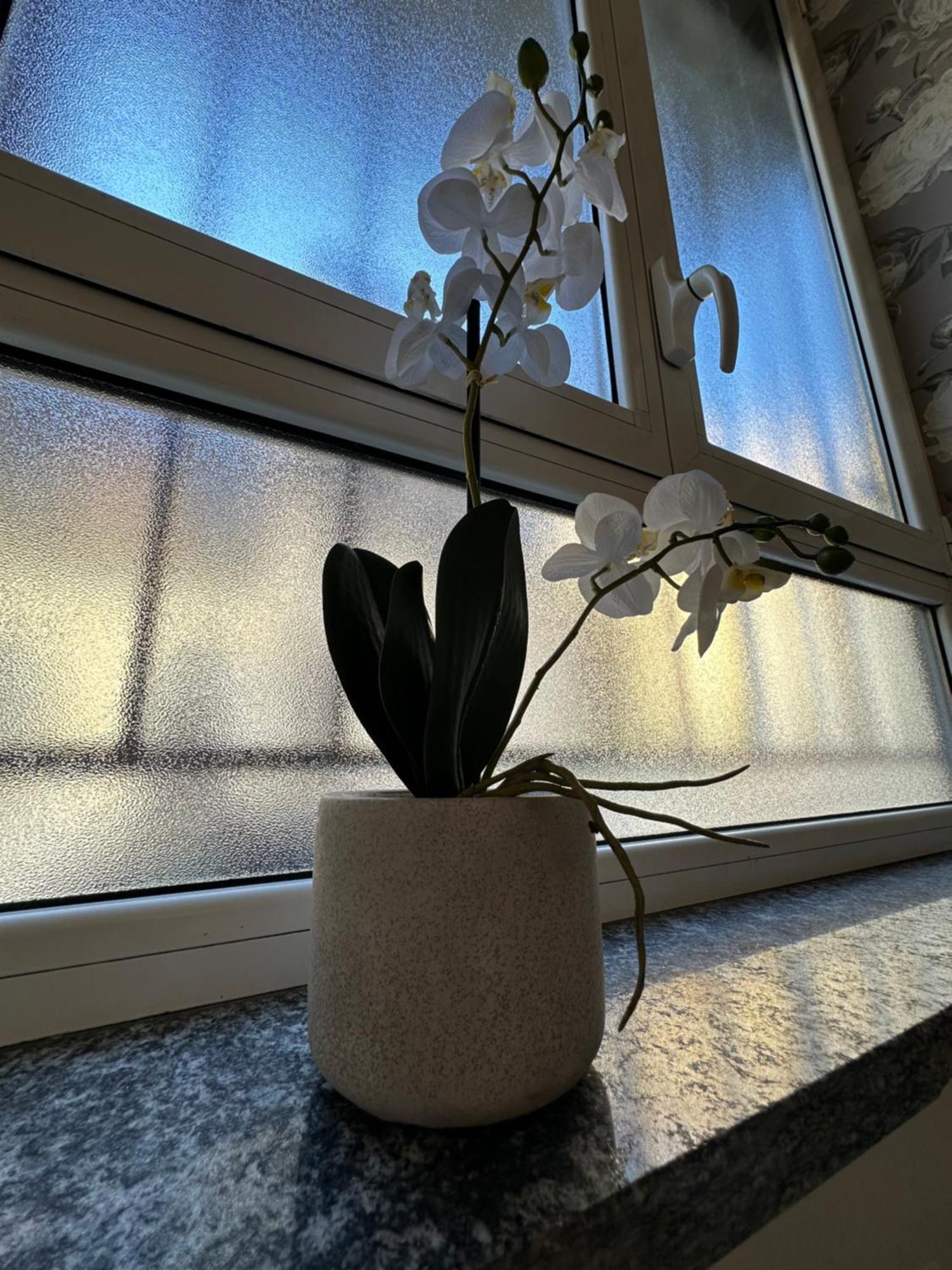 Flowers, A Cozy Suite In מילאנו מראה חיצוני תמונה